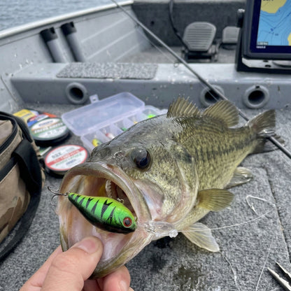 Norte Apex Pro Crankbait hooked in a Largemouth Bass, proving the effectiveness of the multi-species lure set on a fishing boat.